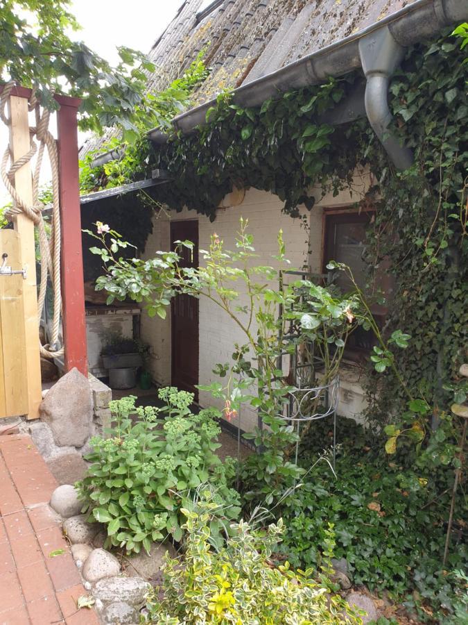 Ferienwohnung Am Osterdeich Dagebüll Екстериор снимка